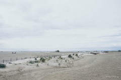 DSC_0226