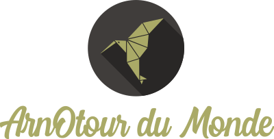 ArnOtour du Monde – À la découverte du monde en solitaire - On entend l'arbre tomber mais pas la forêt pousser